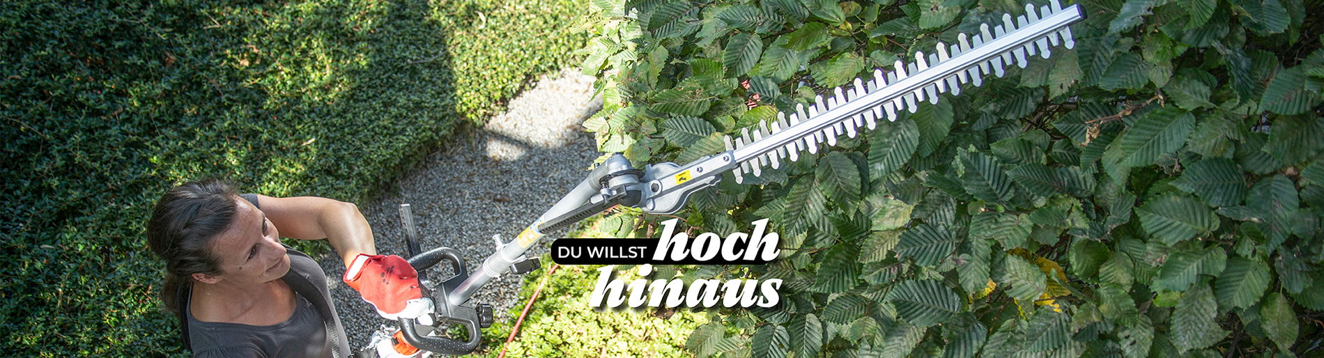 Frau schneidet einen hohen Baum mit einer Teleskop Heckenschere